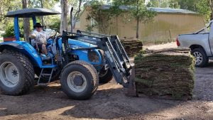 A tractor lifting a stack of grass turf