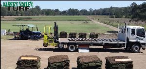 Stack of sapphire, oz tuff, empire zoysia and wintergreen couch stacks waiting to be put on a delivery truck