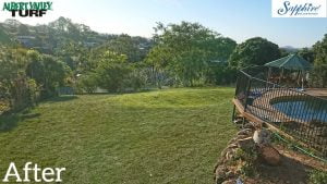 A backyard grass turf with a swimming pool. 