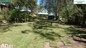 A backyard looking much better with grass turf