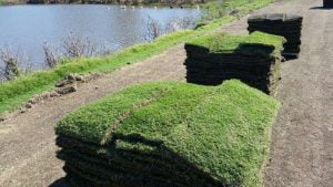 A stack of turf grass