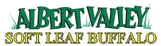 Albert Valley Soft Leaf Buffalo Logo Albert Valley Soft Leaf Buffalo Logo