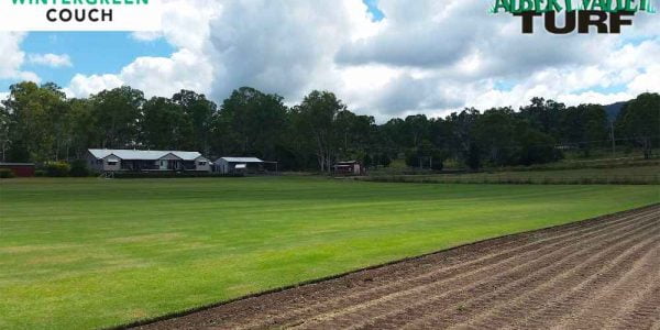 Wintergreen Paddocks ready to harvest