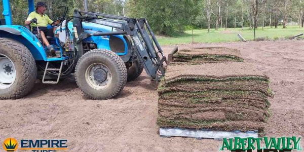 Joe bringing freshly cut Empire Zoysia to the loading bay