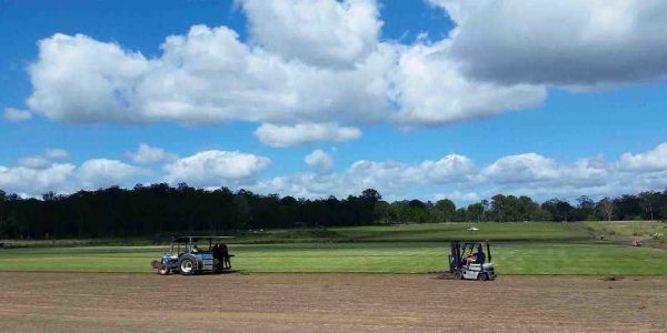 Albert Valley Turf farm
