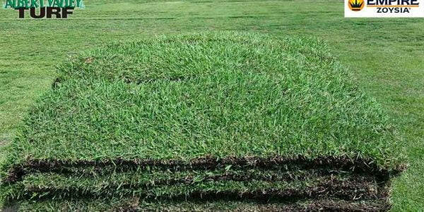 Stacks of Albert Valley Turf