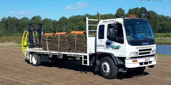 We stock all the best turf suitable for the Queensland Climate