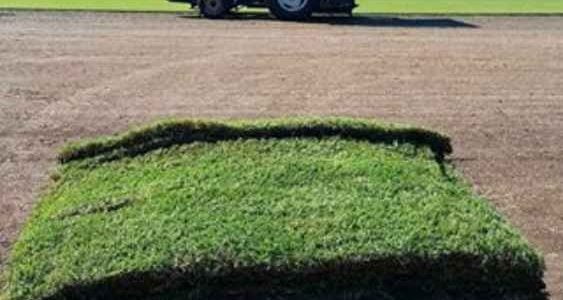 The boys working hard cutting plenty of turf for the day