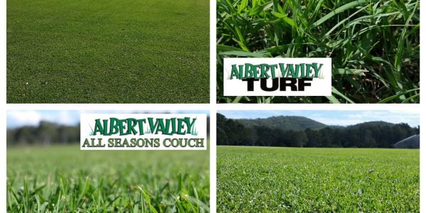 AVT All Seasons Couch