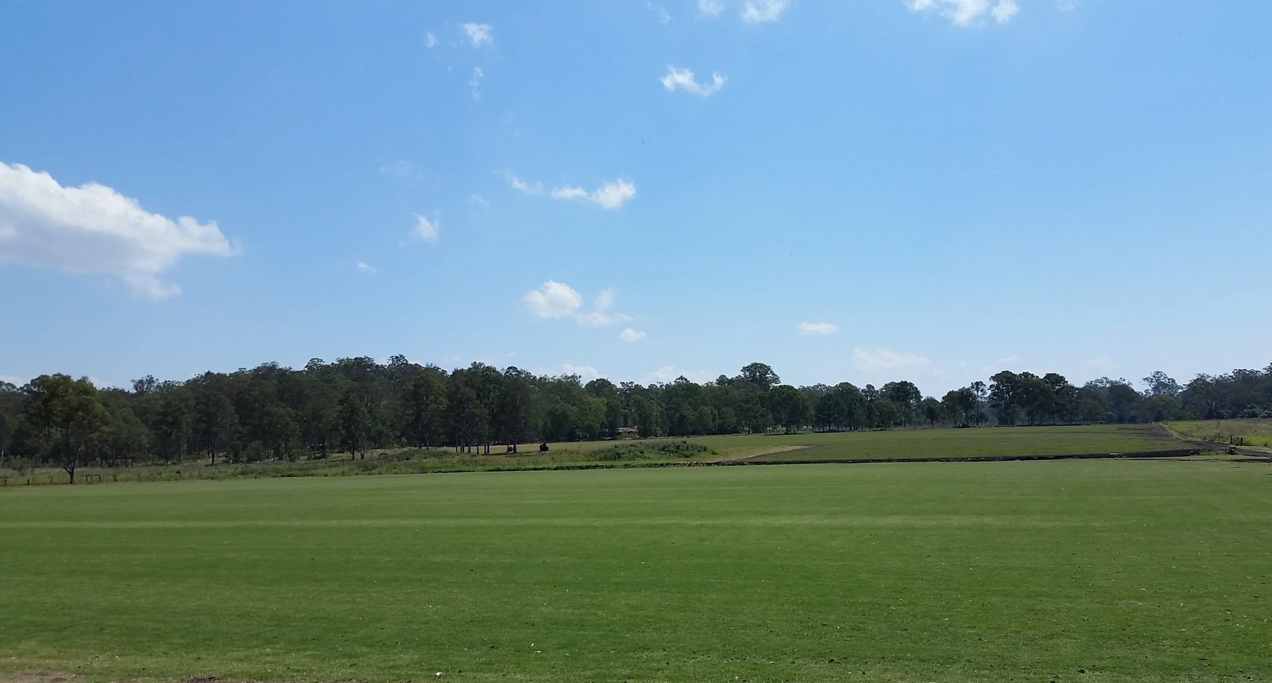 paddocks wintergreen Farm 3