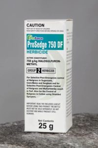 INDIGO PROSEDGE 750DF 25G 30102025 INDIGO PROSEDGE 750DF 25G 30102025
